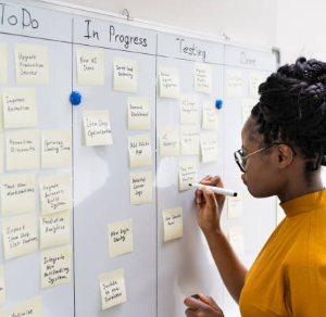 Lean Professional: Desarrollo y Estrategia Avanzada